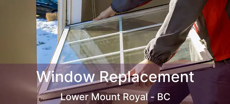  Window Replacement Lower Mount Royal - BC