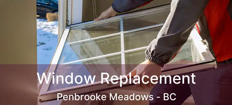  Window Replacement Penbrooke Meadows - BC