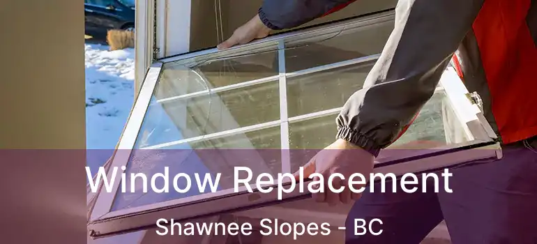  Window Replacement Shawnee Slopes - BC