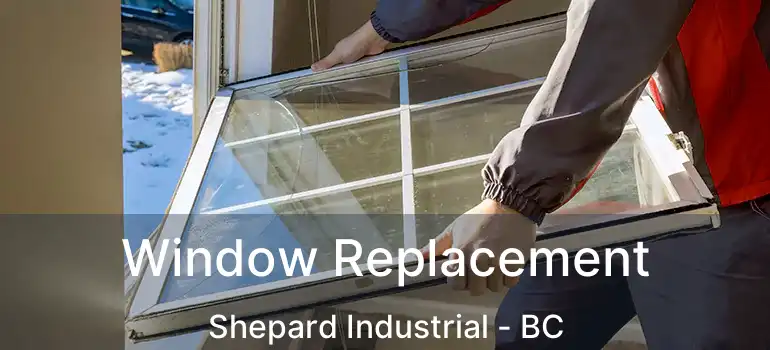  Window Replacement Shepard Industrial - BC