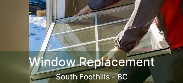 Window Replacement South Foothills - BC