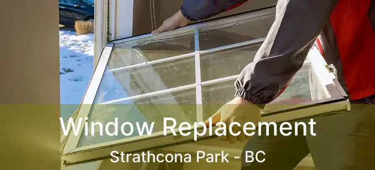  Window Replacement Strathcona Park - BC