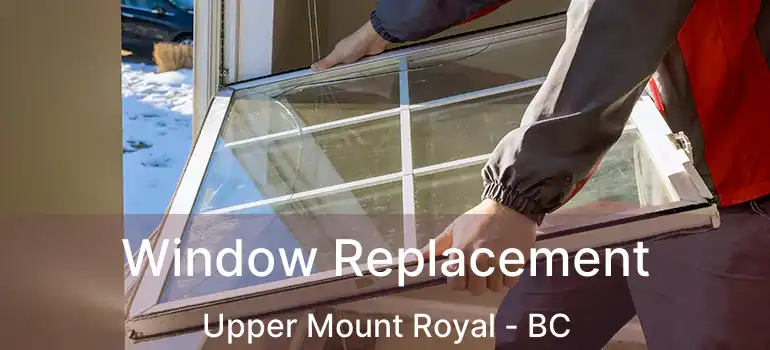  Window Replacement Upper Mount Royal - BC