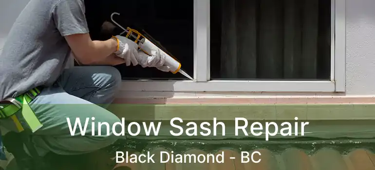  Window Sash Repair Black Diamond - BC
