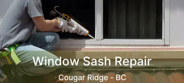  Window Sash Repair Cougar Ridge - BC