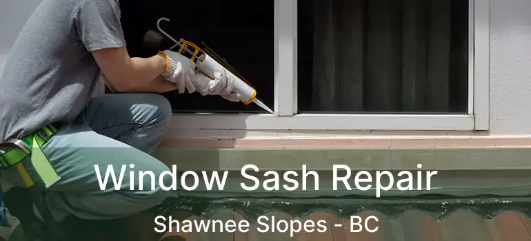  Window Sash Repair Shawnee Slopes - BC