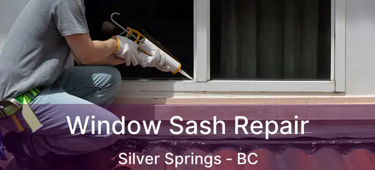  Window Sash Repair Silver Springs - BC