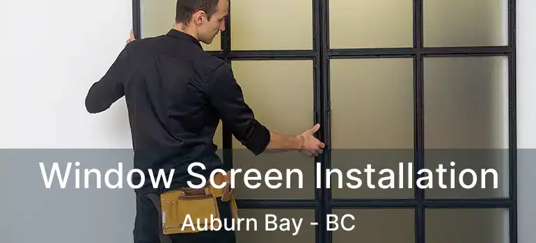  Window Screen Installation Auburn Bay - BC