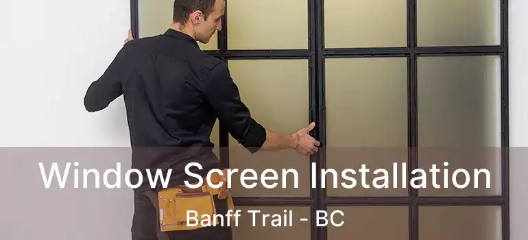  Window Screen Installation Banff Trail - BC