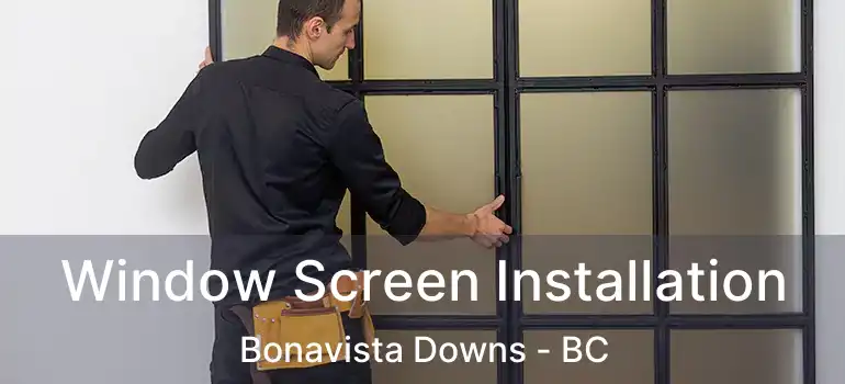  Window Screen Installation Bonavista Downs - BC