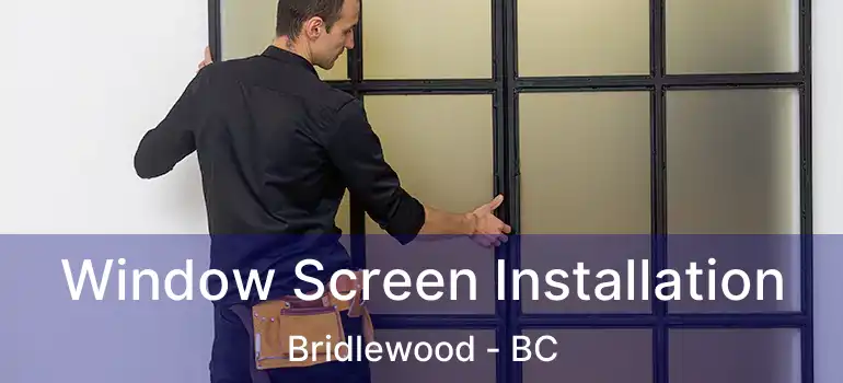  Window Screen Installation Bridlewood - BC
