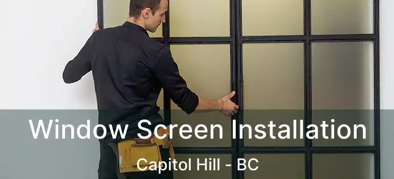  Window Screen Installation Capitol Hill - BC