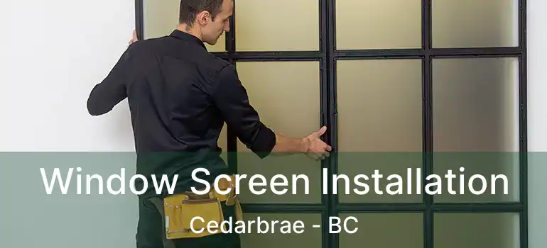  Window Screen Installation Cedarbrae - BC