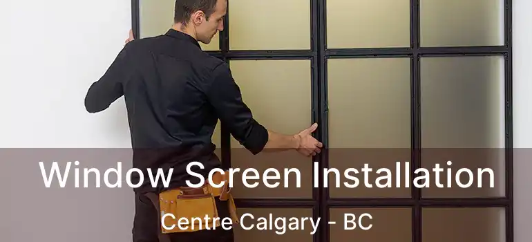  Window Screen Installation Centre Calgary - BC