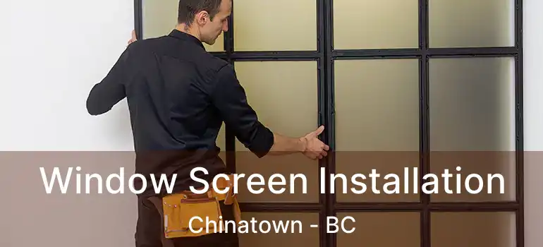  Window Screen Installation Chinatown - BC