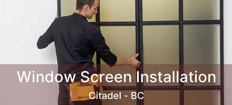  Window Screen Installation Citadel - BC