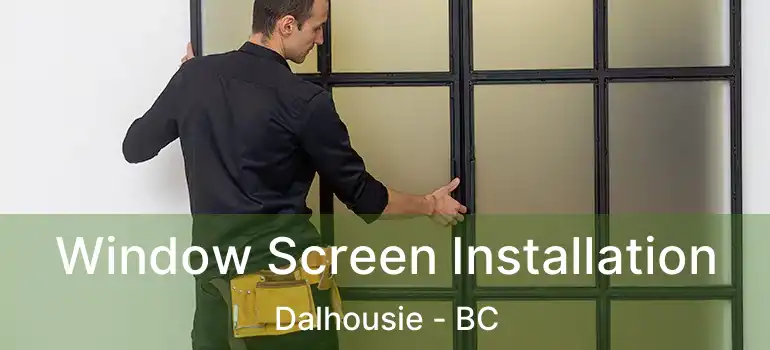  Window Screen Installation Dalhousie - BC