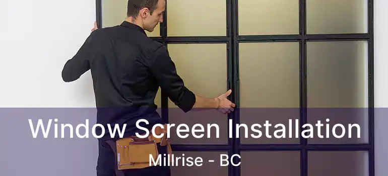  Window Screen Installation Millrise - BC