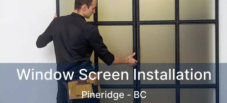  Window Screen Installation Pineridge - BC