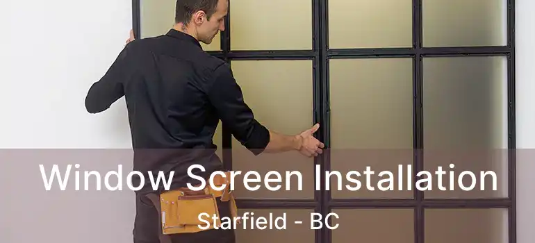  Window Screen Installation Starfield - BC