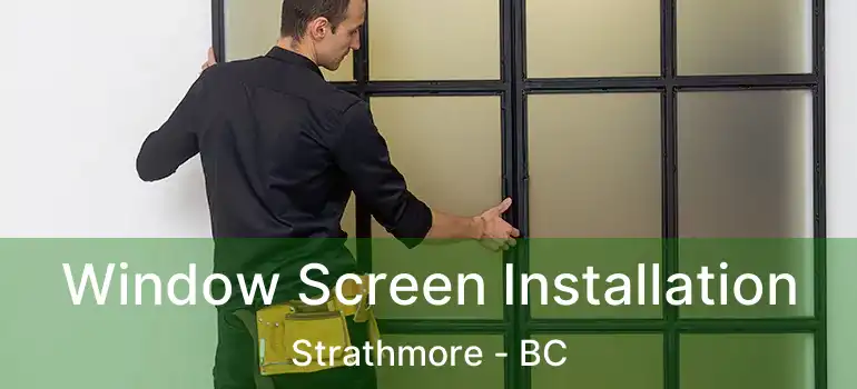  Window Screen Installation Strathmore - BC