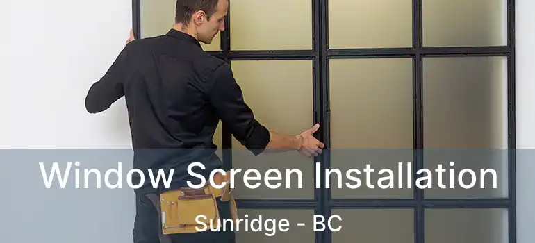  Window Screen Installation Sunridge - BC