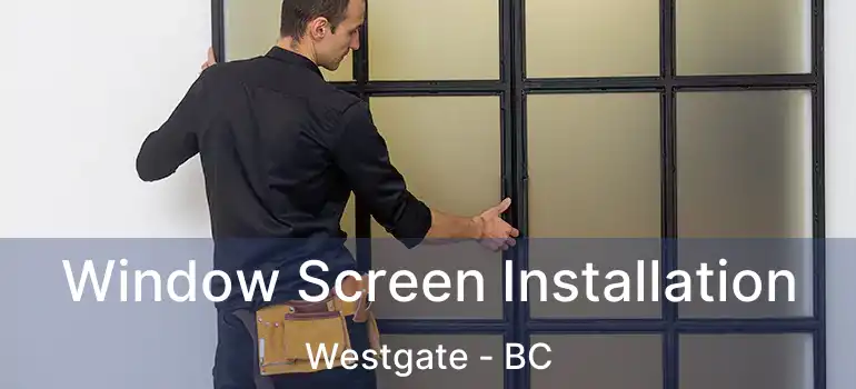  Window Screen Installation Westgate - BC