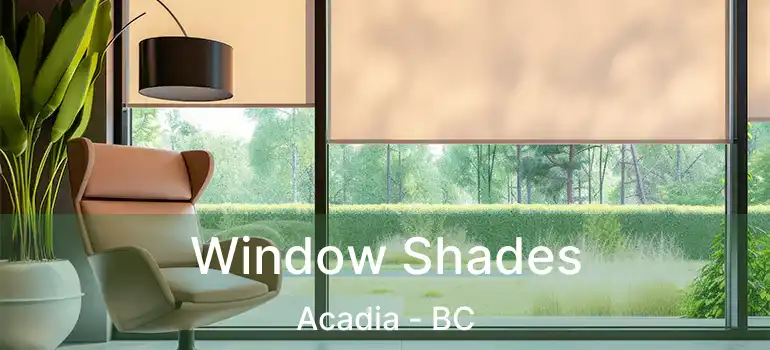 Window Shades Acadia - BC