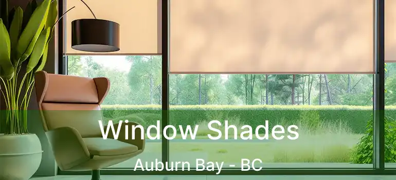  Window Shades Auburn Bay - BC
