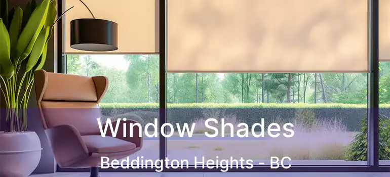  Window Shades Beddington Heights - BC