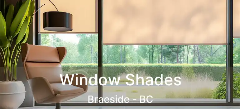  Window Shades Braeside - BC