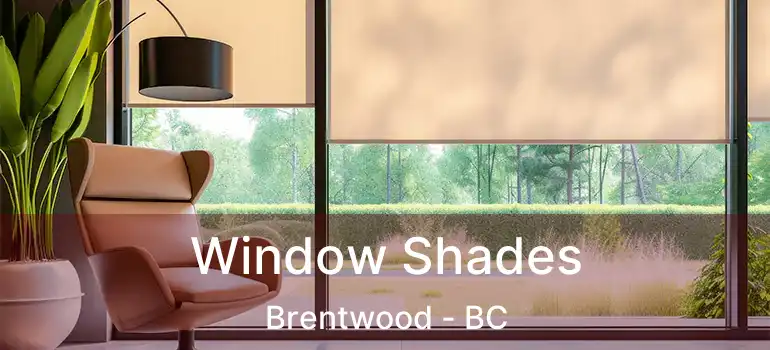  Window Shades Brentwood - BC