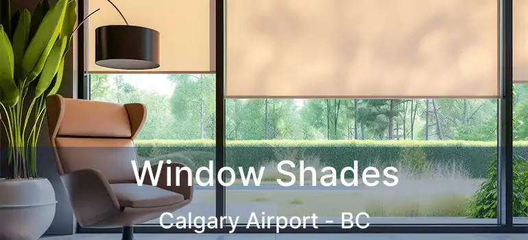  Window Shades Calgary Airport - BC