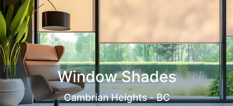  Window Shades Cambrian Heights - BC
