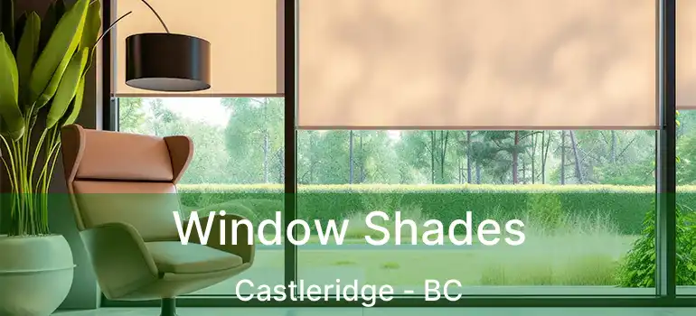  Window Shades Castleridge - BC