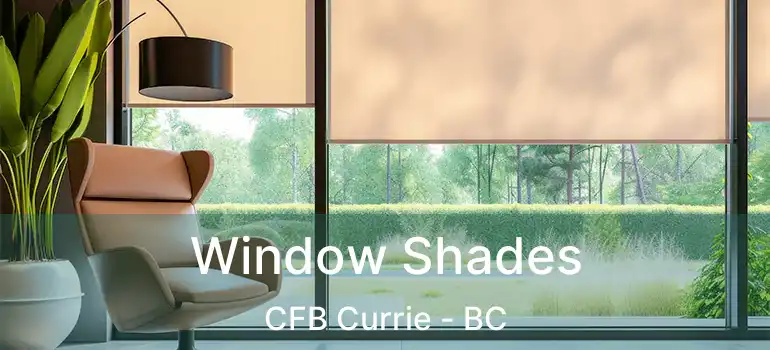  Window Shades CFB Currie - BC
