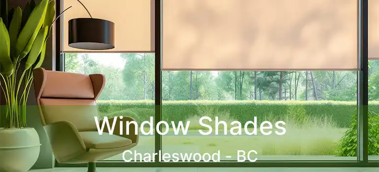  Window Shades Charleswood - BC