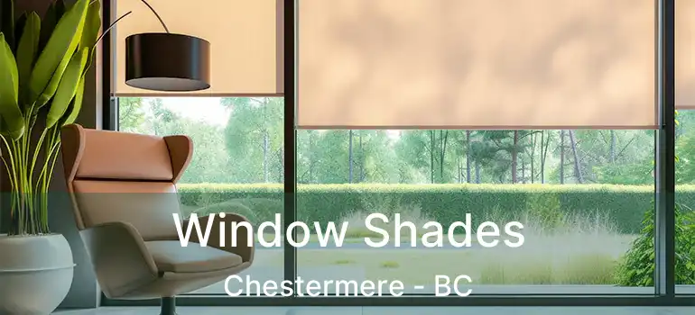  Window Shades Chestermere - BC