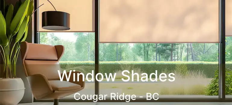  Window Shades Cougar Ridge - BC