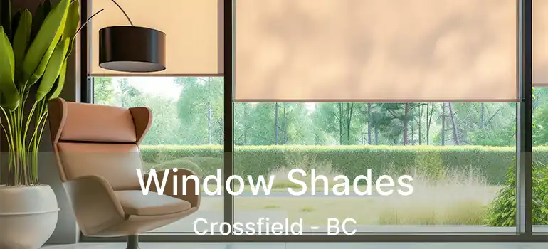  Window Shades Crossfield - BC