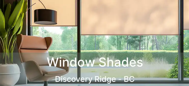  Window Shades Discovery Ridge - BC