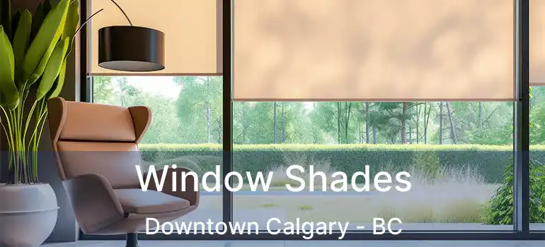  Window Shades Downtown Calgary - BC