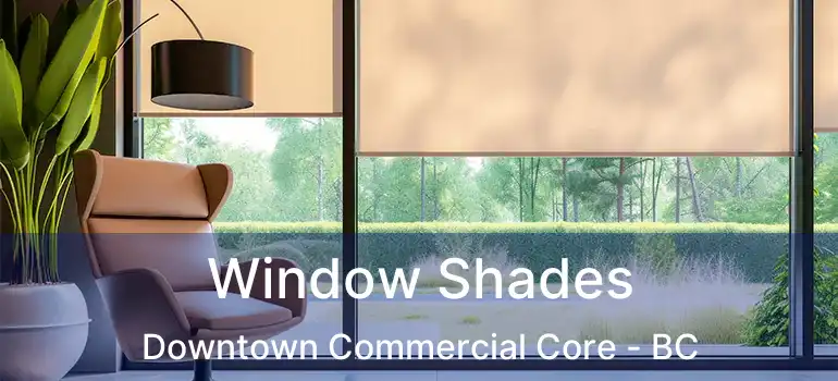  Window Shades Downtown Commercial Core - BC