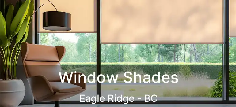  Window Shades Eagle Ridge - BC