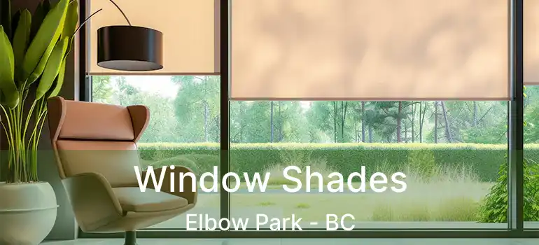  Window Shades Elbow Park - BC