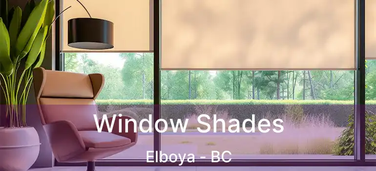  Window Shades Elboya - BC