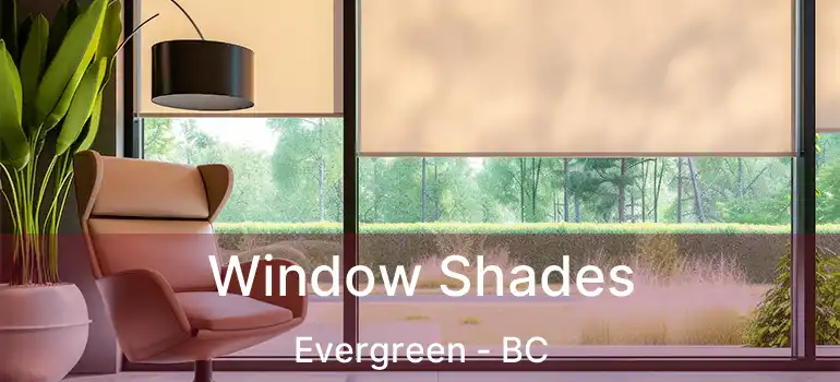  Window Shades Evergreen - BC