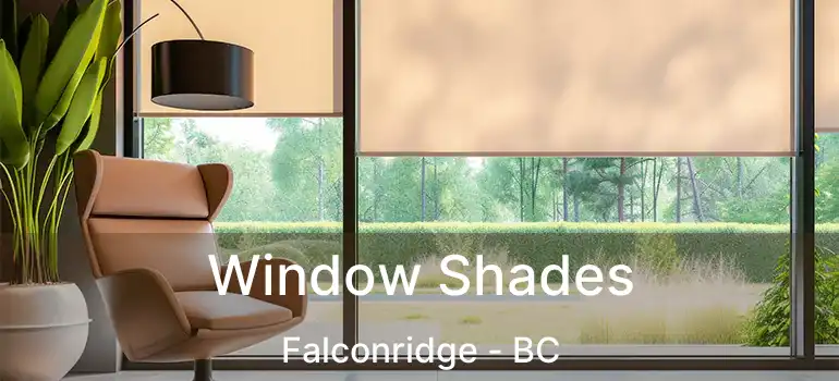  Window Shades Falconridge - BC