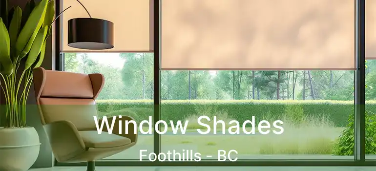  Window Shades Foothills - BC