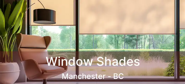  Window Shades Manchester - BC